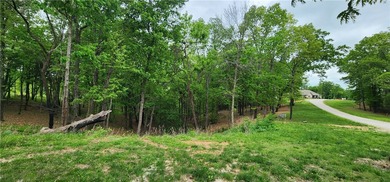 Build your dream home or business office just outside of town! - photo 3