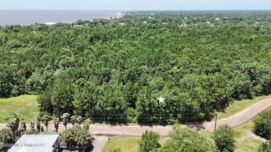 Build your dream coastal home on this beautiful .25-acre - photo 1