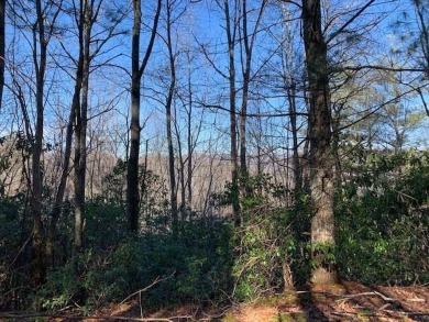 Lake Lot For Sale in Nantahala, North Carolina