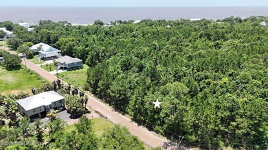 Build your dream coastal home on this beautiful .25-acre - photo 2