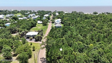 Build your dream coastal home on this beautiful .25-acre - photo 3