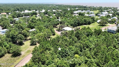 Build your dream coastal home on this beautiful .25-acre - photo 4