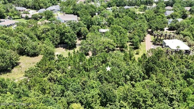 Build your dream coastal home on this beautiful .25-acre - photo 5