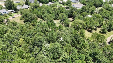 Build your dream coastal home on this beautiful .25-acre - photo 6