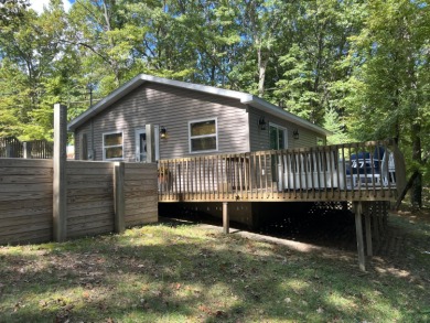 Lake Home For Sale in Lakeview, Michigan