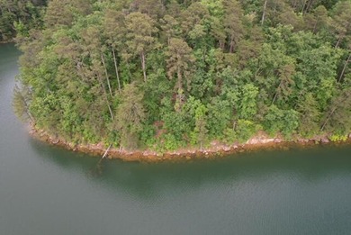 Lake Lot For Sale in Arley, Alabama