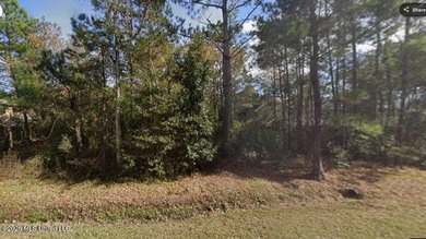 Waterfront Opportunity - Two Adjoining Wooded Lots Build your - photo 1