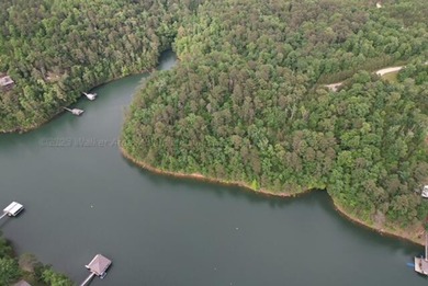 Lake Lot For Sale in Arley, Alabama