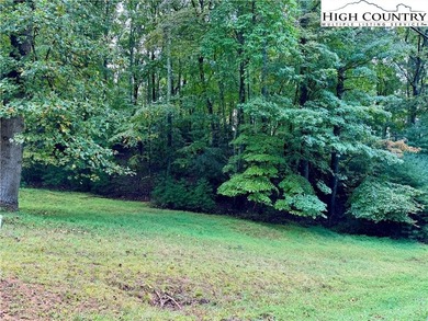 (private lake, pond, coastal) Lot For Sale in Deep Gap North Carolina