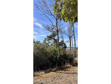 Lockwoods Folly River Lot For Sale in Bolivia North Carolina