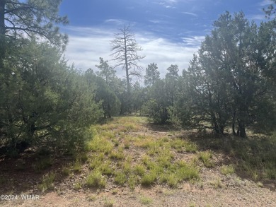 Show Low Lake Lot For Sale in Lakeside Arizona