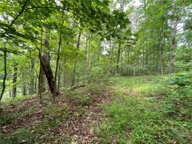 Chauga River Lot For Sale in Westminster South Carolina