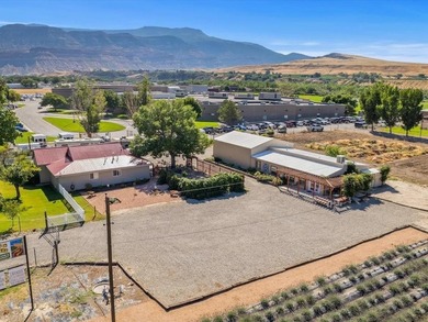 Colorado River Lot For Sale in Palisade Colorado