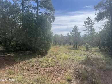 Show Low Lake Lot For Sale in Lakeside Arizona