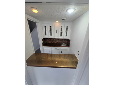 Beautiful, newly renovated 3 bed, 3 bath home with private - photo 34