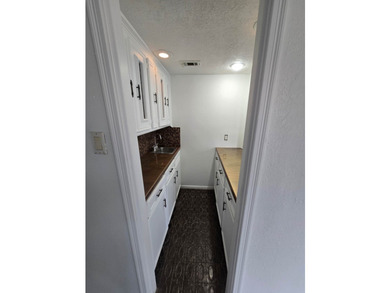Beautiful, newly renovated 3 bed, 3 bath home with private - photo 35