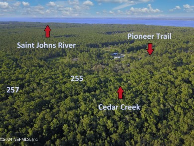 St. Johns River - Putnam County Acreage For Sale in Palatka Florida