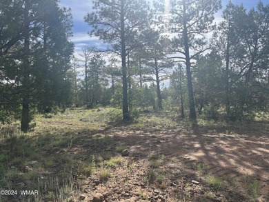 Show Low Lake Lot For Sale in Lakeside Arizona