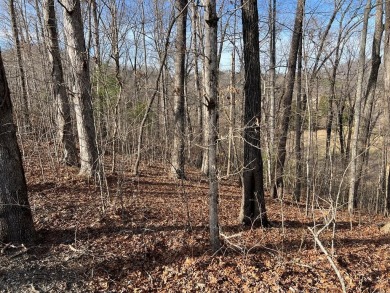 Lake Chatuge Lot For Sale in Hayesville North Carolina