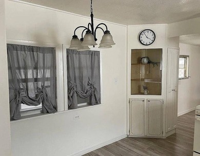 55+ Community. 2 Bed, one bath MH. Large living room and kitchen - photo 6