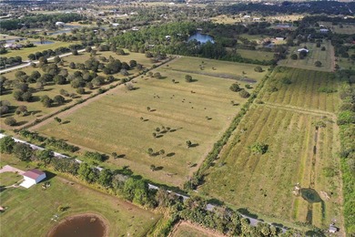 40+/- Acres of prime agricultural land just 2.5 miles east of - photo 21