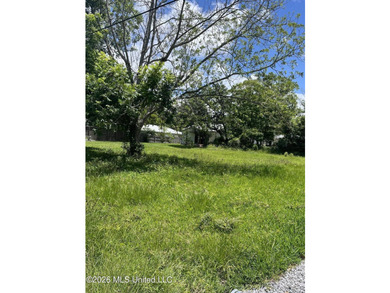 GREAT HOME SITE-FLAT,WALK TO DOWNTOWN,JUST CLOSE ENOUGH-WHERE - photo 2