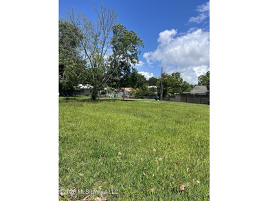 GREAT HOME SITE-FLAT,WALK TO DOWNTOWN,JUST CLOSE ENOUGH-WHERE - photo 3