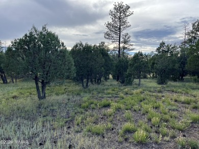 Show Low Lake Lot For Sale in Lakeside Arizona