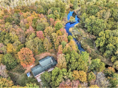 Lake Home For Sale in Walkerville, Michigan