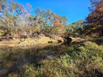 (private lake, pond, creek) Lot For Sale in Dade City Florida