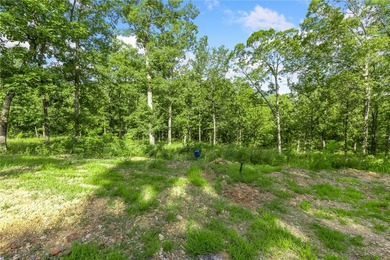 The groundwork is already done for you! This lot comes fully - photo 1