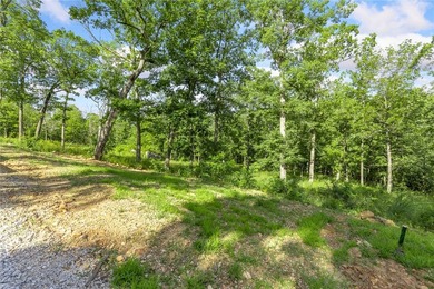 The groundwork is already done for you! This lot comes fully - photo 3