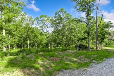 The groundwork is already done for you! This lot comes fully - photo 4