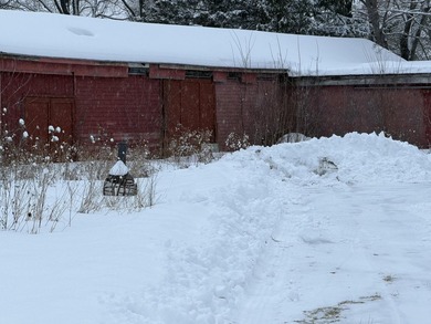 Many uses for this property. There is a 4 bedroom home along - photo 6