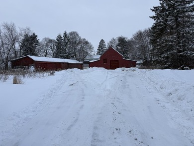 Many uses for this property. There is a 4 bedroom home along - photo 7