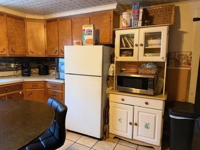 Many uses for this property. There is a 4 bedroom home along - photo 9