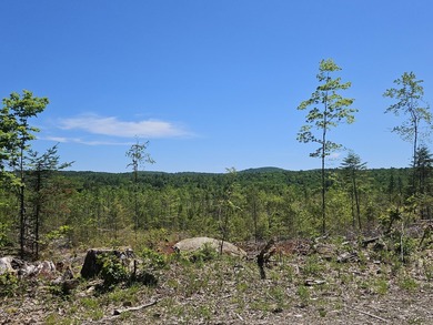 SECLUDED OFF-GRID LAND WITH DIRECT ACCESS TO ITS 87 SNOWMOBILE - photo 2