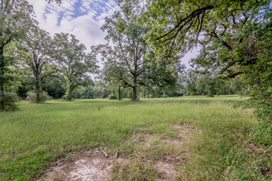 Lake Livingston Lot For Sale in Trinity Texas