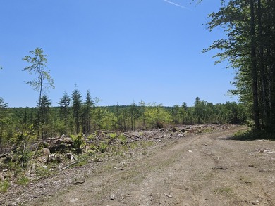 SECLUDED OFF-GRID LAND WITH DIRECT ACCESS TO ITS 87 SNOWMOBILE - photo 3