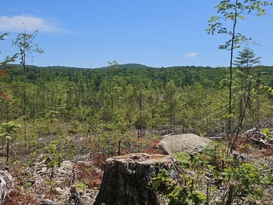 SECLUDED OFF-GRID LAND WITH DIRECT ACCESS TO ITS 87 SNOWMOBILE - photo 4