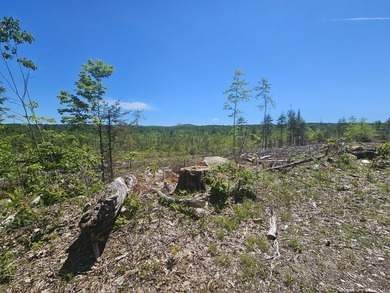 SECLUDED OFF-GRID LAND WITH DIRECT ACCESS TO ITS 87 SNOWMOBILE - photo 5