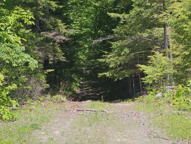 SECLUDED OFF-GRID LAND WITH DIRECT ACCESS TO ITS 87 SNOWMOBILE - photo 6
