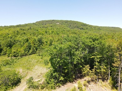 SECLUDED OFF-GRID LAND WITH DIRECT ACCESS TO ITS 87 SNOWMOBILE - photo 7