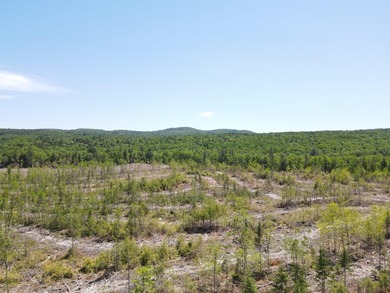 SECLUDED OFF-GRID LAND WITH DIRECT ACCESS TO ITS 87 SNOWMOBILE - photo 8