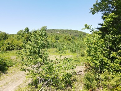 SECLUDED OFF-GRID LAND WITH DIRECT ACCESS TO ITS 87 SNOWMOBILE - photo 9