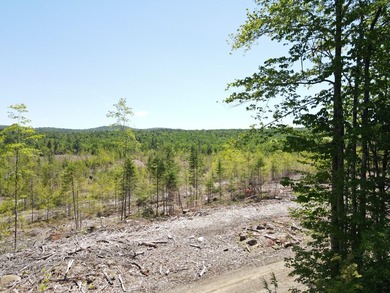 SECLUDED OFF-GRID LAND WITH DIRECT ACCESS TO ITS 87 SNOWMOBILE - photo 10