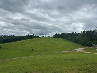 Experience year-round vacation living on this stunning 12-acre - photo 5