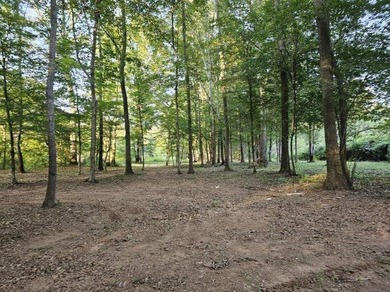 Experience year-round vacation living on this stunning 12-acre - photo 7