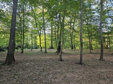 Experience year-round vacation living on this stunning 12-acre - photo 9