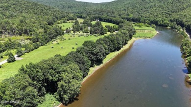 Lake Acreage For Sale in Equinunk, Pennsylvania
